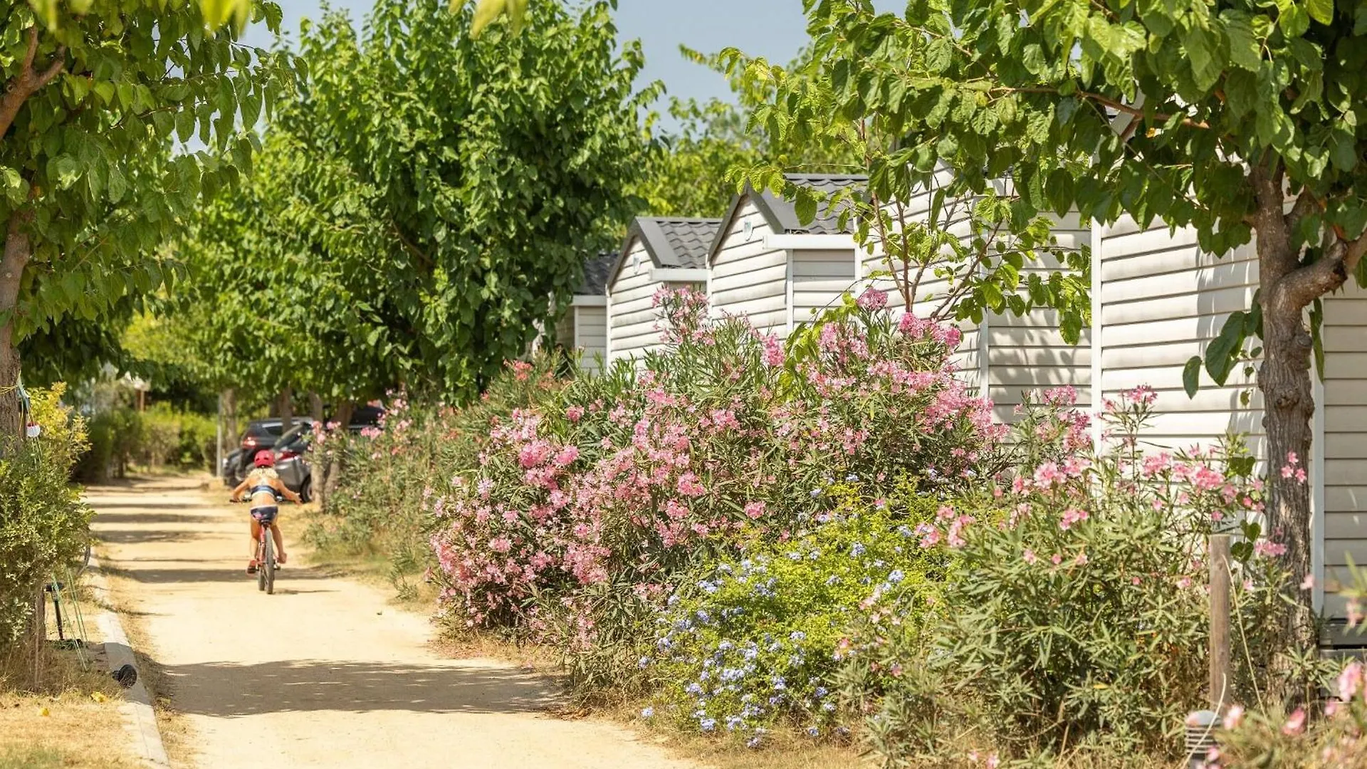 Camping El Pinar Blanes 0*,